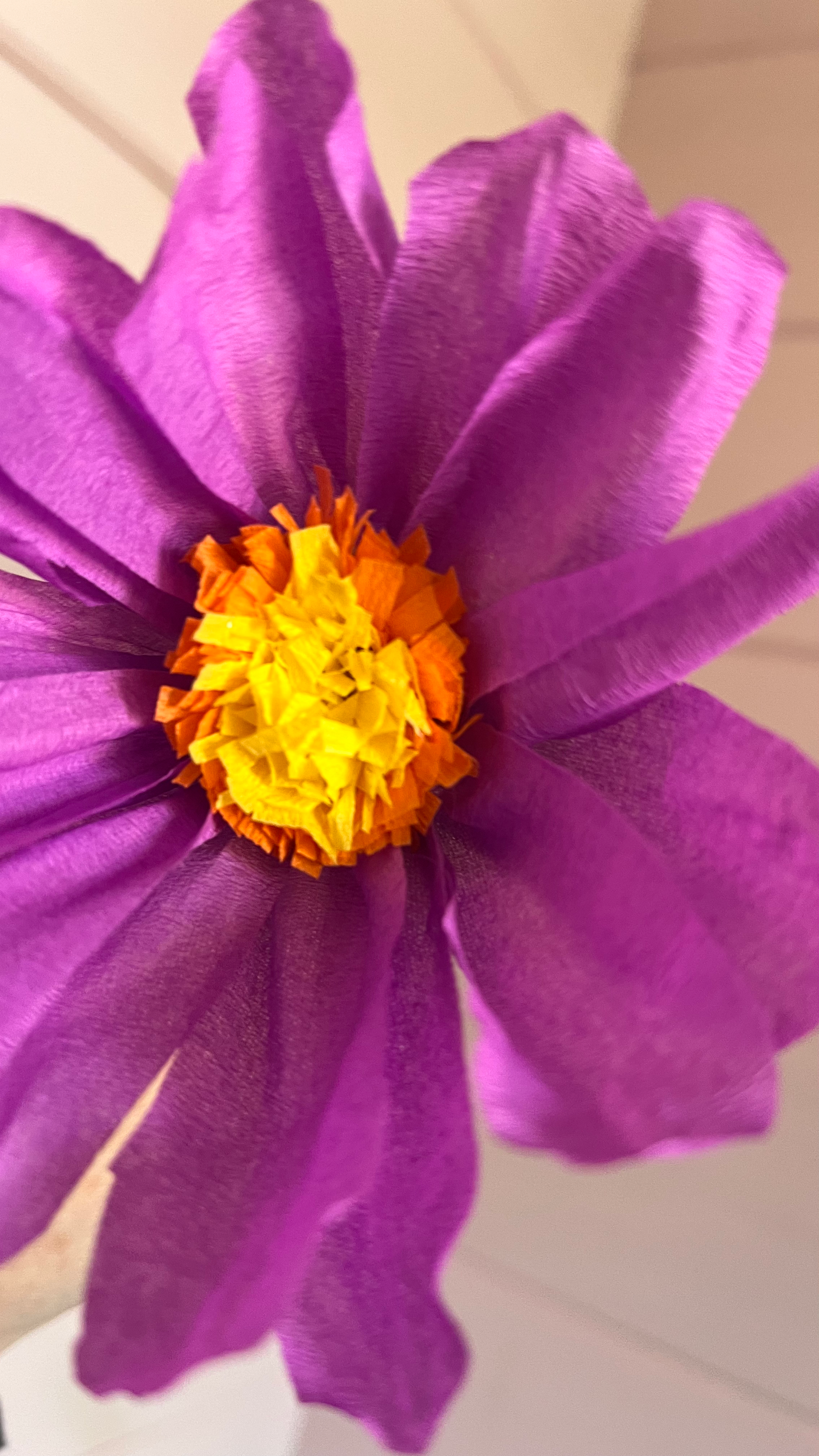 Cosmos paper flower image 1