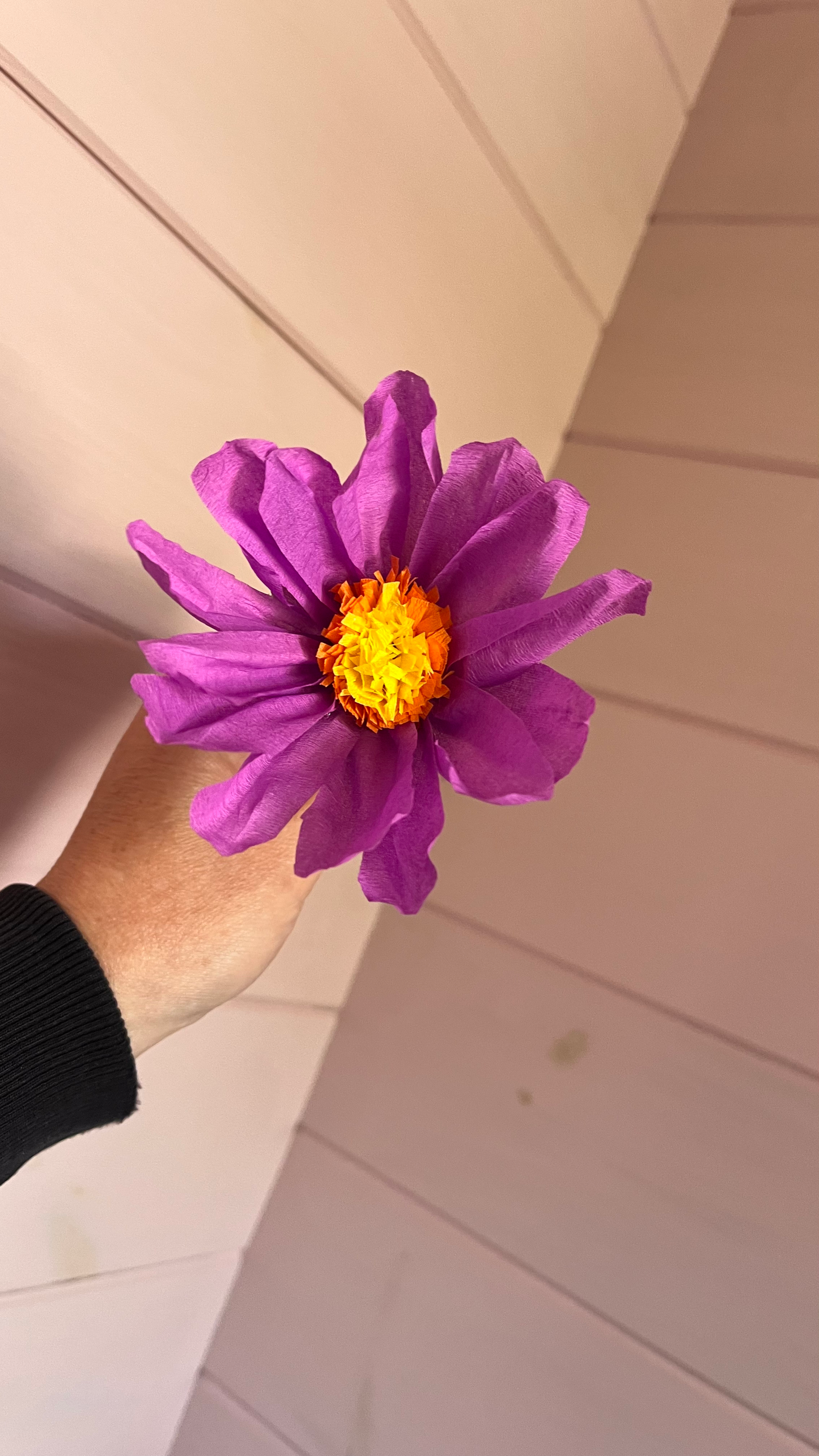 Cosmos paper flower image 0