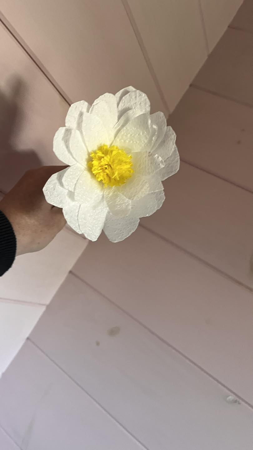 White Daisy paper flower image 0