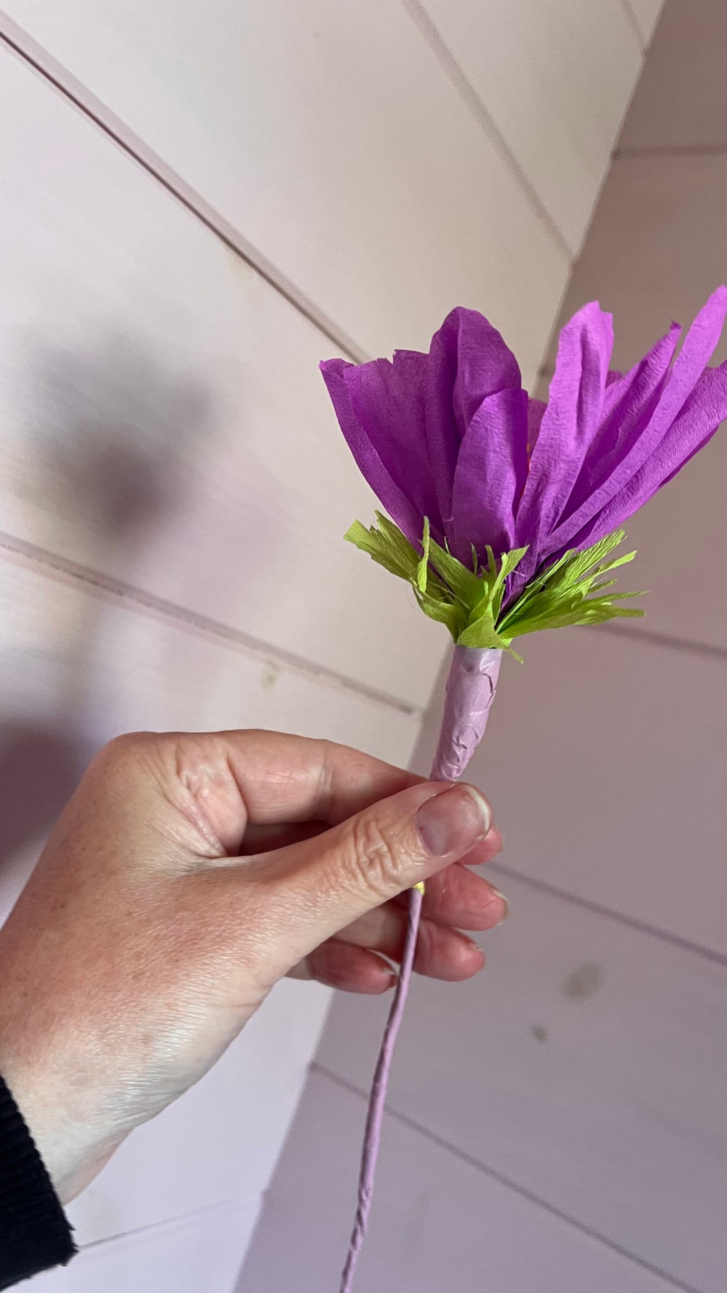 Cosmos paper flower image 2